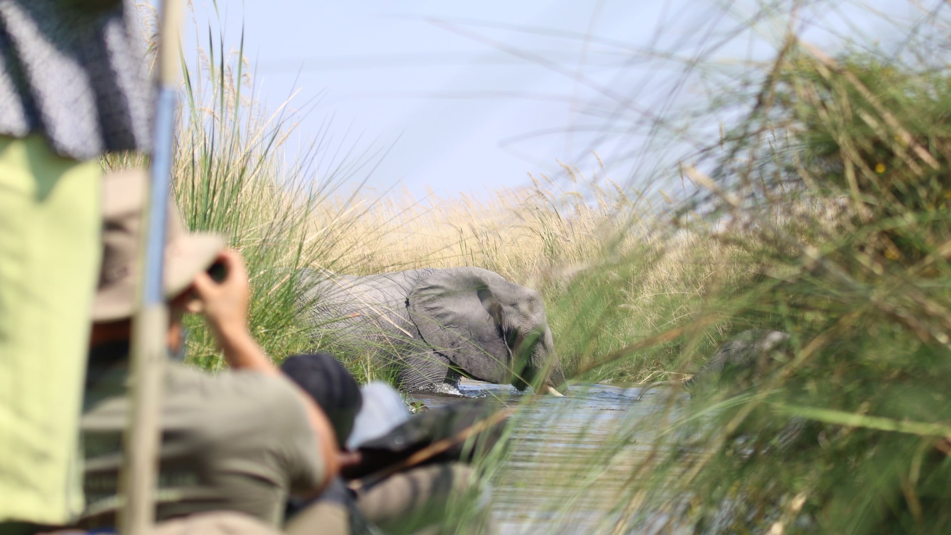 Camping-Safari im wilden Botswana